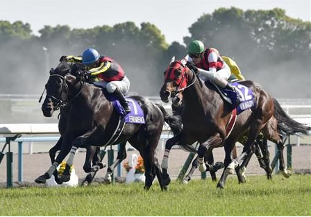 http://livedoor.blogimg.jp/ltdslip2000/imgs/e/4/e4aac456.jpg