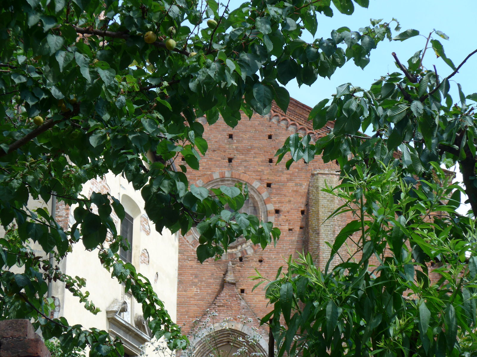 P1280124