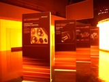 DSCN5201