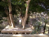 DSCN6936