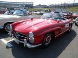 DSCN5087