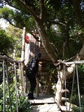 DSCN6867