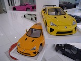 DSCN5981
