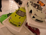 DSCN5960