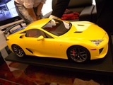 DSCN5987