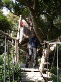 DSCN6868