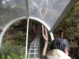 DSCN6974
