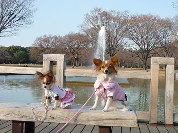 ルチアとスパイビー