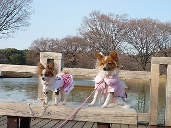 ルチアとスパイビー2