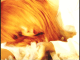 1cecdc74.gif