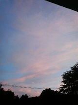 473a85a6.jpg