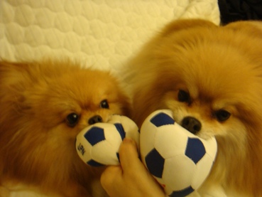 soccer