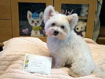 010Loveiさんから