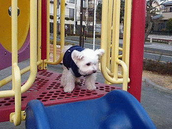 025やられた