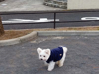 010近くの小さな公園