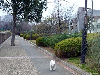 055友達だ