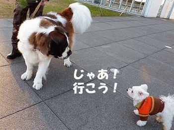 040どうせ僕の勝ち