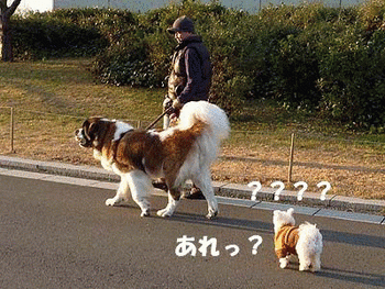 060今日は早いなぁ