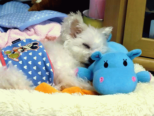 Q Tbn 3aand9gcqnjr66btttggksh8ai5vdaxkhtssthtsmiaa Usqp Cau