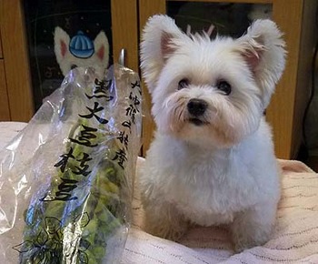 215黒豆だ