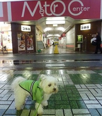 4�夭�ޤ���