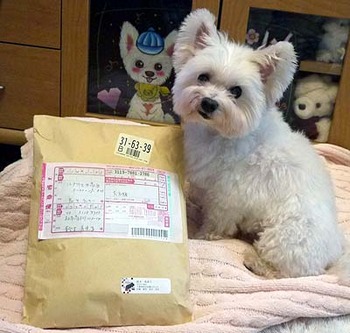 100カノンママさんから