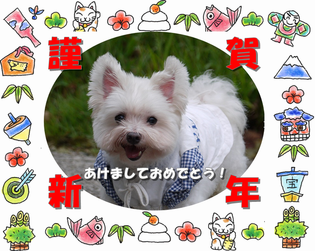 お正月NNN