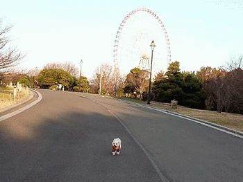 065おいていかれた