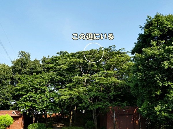 P1000078