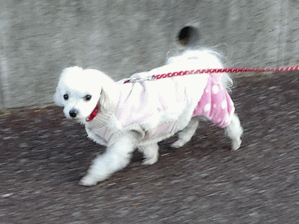 120まるぅちゃん