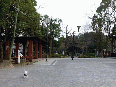 020T公園に来た