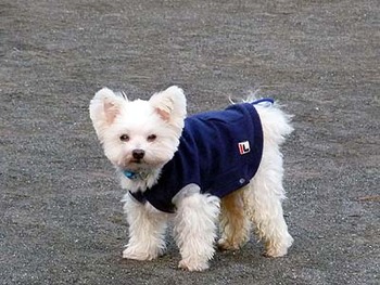 030やめてよね