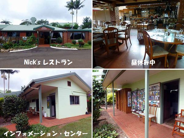 660ユング村インフォメーション (1)