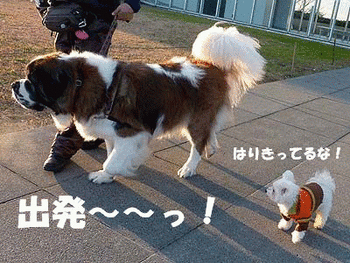 044じゃあ出発