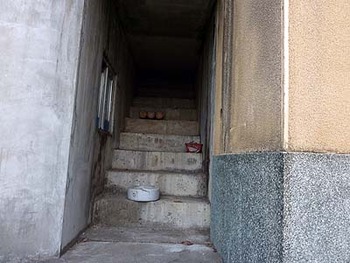 055どうなってるの?