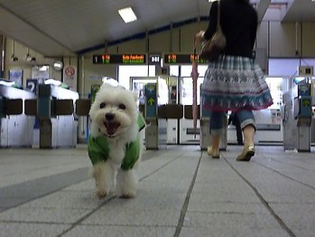 電車で行こうよ