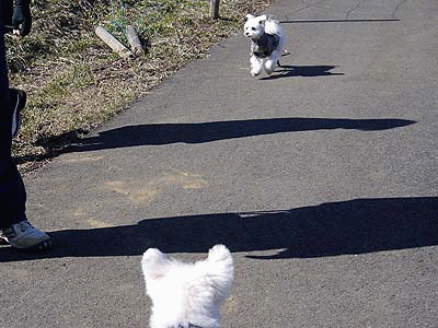 060遅かったね