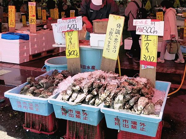 415魚安い
