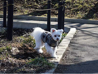 080今行くよ