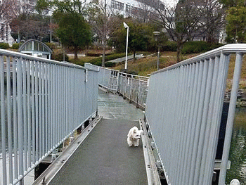 050散歩はつづく