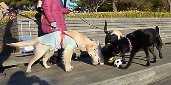 おはよう3
