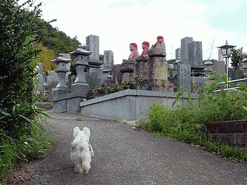 010ジイジのお墓に行きます