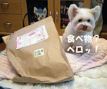 210チロ姉さんから