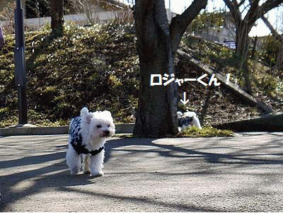 075みちくさ