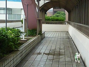 通路