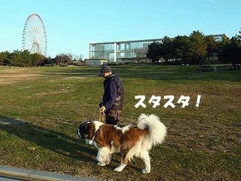 080今日は早い