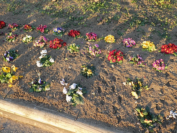 240　食べた後？