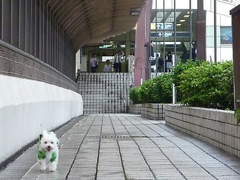 じゃあ帰ろう