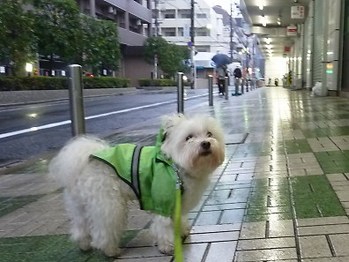 6����ʤȤ����⤢��ޤ�