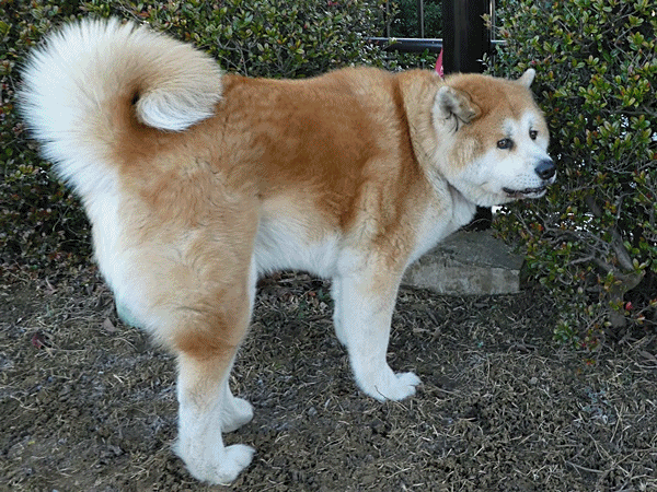 160つながれちゃった